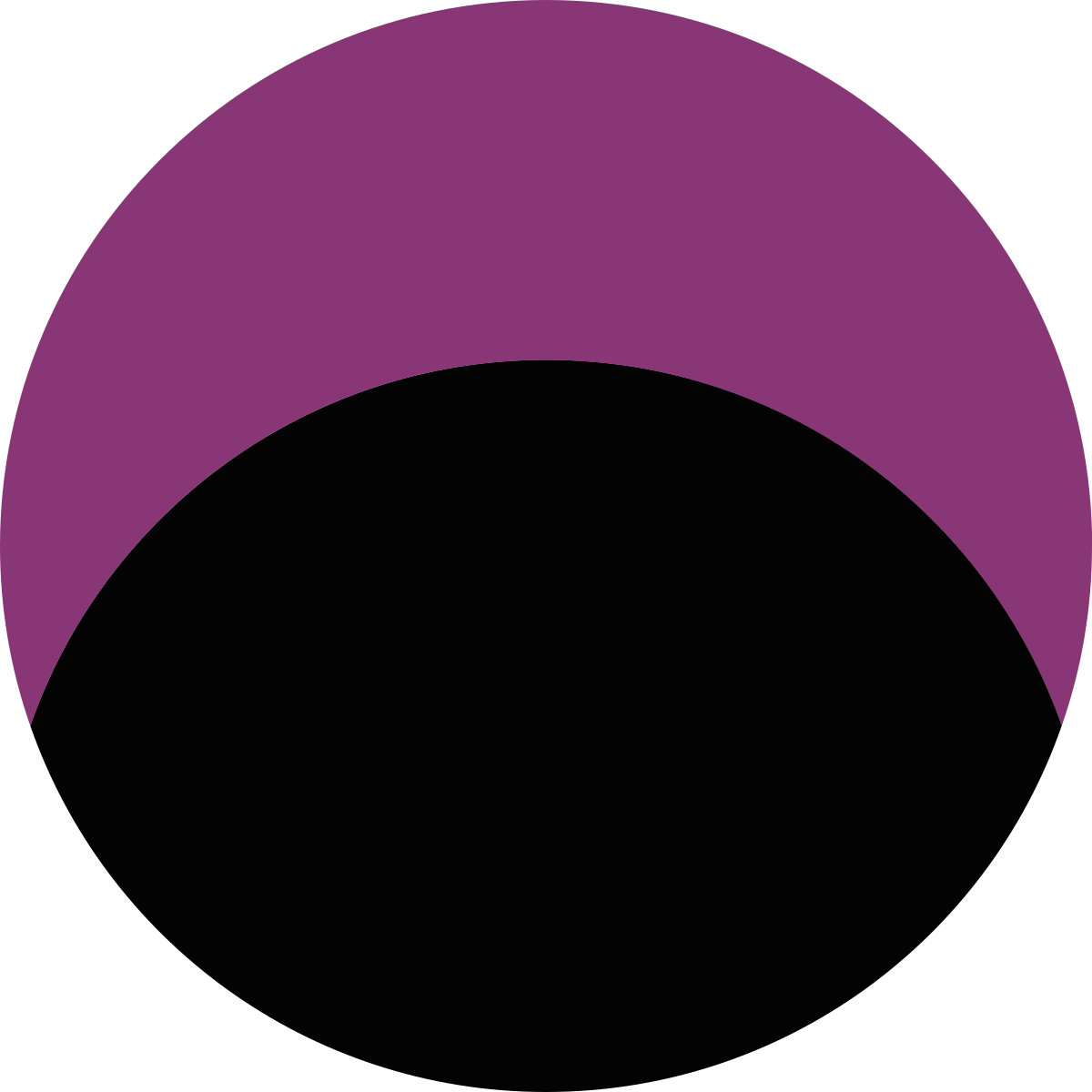 Shadow logo